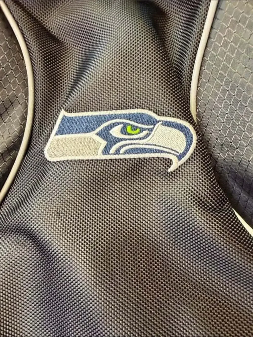 Seattle‎ Seahawks Northwest Phenom Backpack and Laptop Bag
